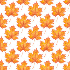 Naklejka na ściany i meble Fall Autumn seamless pattern Orange maple leaves background Wrapping paper Scrapbook