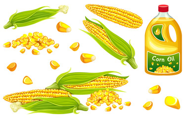 Set corn oil, seed and leaf. Isolated vector illustration on white background.