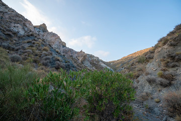 Turrilla canyon in the summer