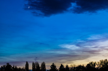 Fototapeta premium sunset looking at shore of Elbe full of tree