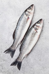 Fresh seafood. Trout fish