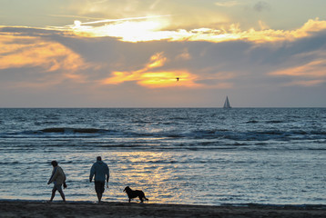 Couple with dog at the Evening Beach at Sunset Time