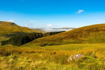 View to the forest with clouds forming in the valley behind from trail to Corn Du and Pen y Fan peaks in Brecon Beacons National Park - obrazy, fototapety, plakaty