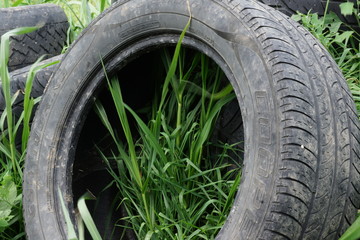 Tire in the grass
