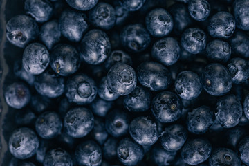 Macro blueberries wallpapper 