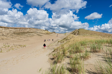 Nagliai nature reserve near Nidden; Curonian Spit; Lithuania