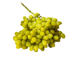 bunch of sweet juicy grapes isolated on white