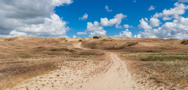 Nagliai nature reserve near Nidden; Curonian Spit; Lithuania