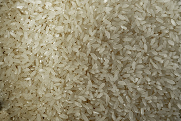 white rice