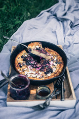 Summer time picnic in the park with breakfast food, juice and fruits. Blue blanket, pillows, green grass