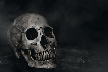 Human skull on dark background