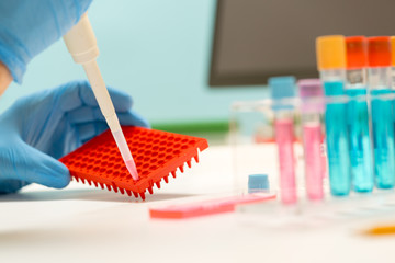 scientific experiment in microbiology laboratory. pipetting genetic materials