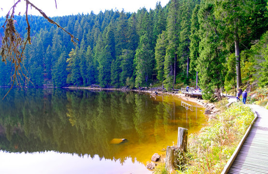 Mummelsee im Schwarzwald bei Achern in Baden-Württemberg Deutschland Europa mit Wasser und Wald am Ufer aufgenommen am 2017.09.29