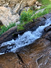 waterfall in nature 