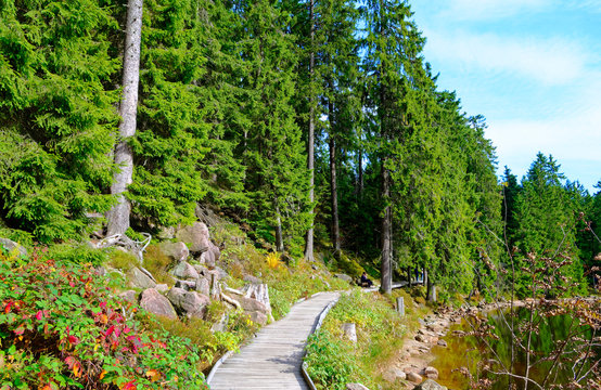 Mummelsee im Schwarzwald bei Achern in Baden-W&uuml;rttemberg Deutschland Europa mit Wasser und Wald am Ufer aufgenommen am 2017.09.29