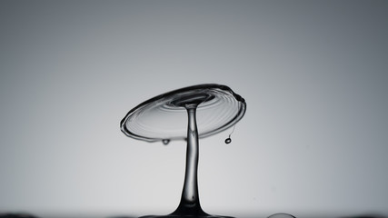 Close-up of a water drop falling on water surface