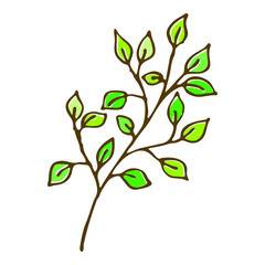 A thin tree branch with green leaves is isolated on a white background. The plant is hand drawn