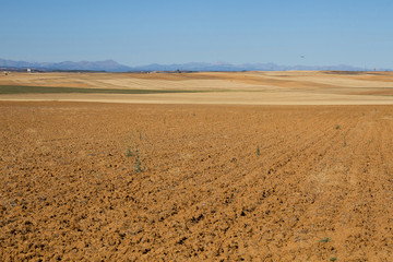 Landscape of fields with plots of cereal crops and mountains in the background 