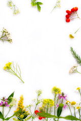 Colorful wildflowers on white background. Flat lay, top view. 