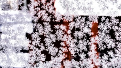 lace of snowflakes on the window
