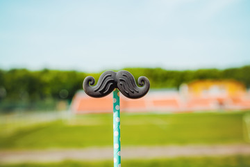 view of a toy mustache on a nature background