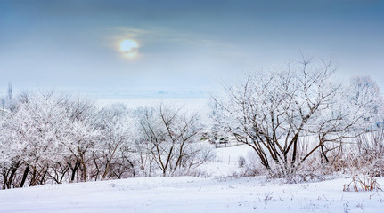 Winter landscape with snowy trees before sunset_