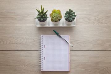 LIbreta con boligrafo encima de escritorio de madera