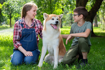 Naklejka na ściany i meble Beautiful pregnant woman in blue denim overalls with her son and Japanese dog Akita inu in the park on a sunny day