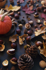 Autumn background with decorative pumpkin, acorns, nuts and autumn leaves  on dark stone table