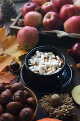 Autumn background: a cup of cocoa with marshmallow, decorative pumpkin, acorns, apples, nuts and autumn leaves  on dark stone table