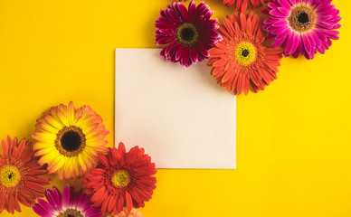 Bright beautiful gerbera flowers and paper card on a sunny yellow background. Mother's Day,...
