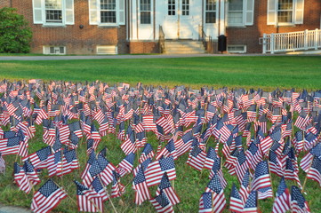 Mini Flags on Lawn with Brick Building