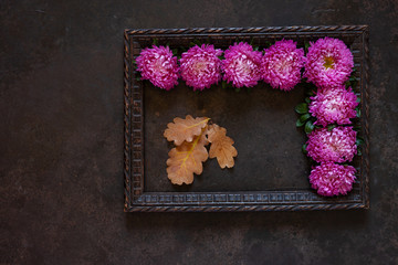 Beautiful purple autumn flowers asters with copy space floral decoration. Autumn concept. Top view, close up on dark concrete background.