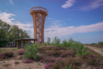 Aussichtsturm Heidelandschaft