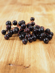Sambucus nigra on the wooden background