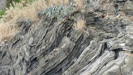 Aggregati naturali. Trama di roccia viva