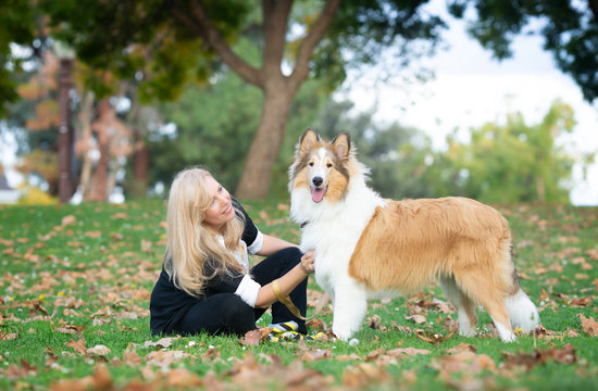 Blond Caucasian woman is sitting on a green grass and fall foliage in a park with collie dog