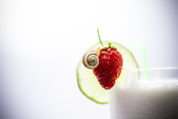lime and ripe strawberries with a snail on a glass against white background