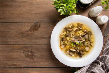 Soup of wild mushrooms (aspen, white, boletus) with vegetables, potatoes, pearl barley. Traditional Russian first course, delicious food for lunch, hot cozy dish