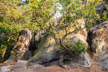 Naturlandschaft Teufelsmauer Harz bei Blankenburg