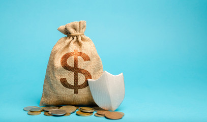 Bag with dollar symbol and protection shield. Concept security of money, guaranteed deposits....