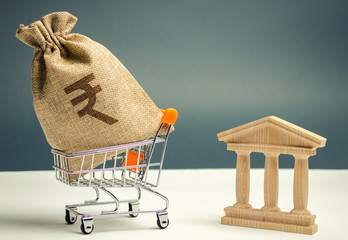 Indian rupees in a supermarket cart and a bank or government building. Business and finance...