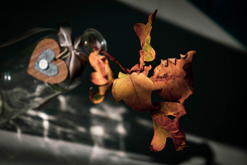  yellow golden autumn oak leaf on a branch in a glass transparent vase with a heart - obrazy, fototapety, plakaty