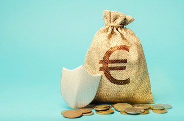 Bag with euro symbol and protection shield. Concept security of money, guaranteed deposits. Client...
