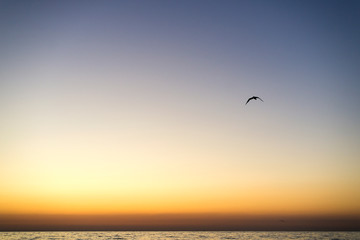 Fototapeta na wymiar Beautiful sunrise and sea background
