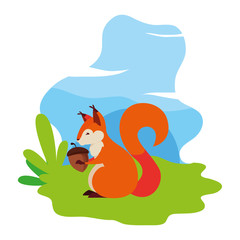 squirrel acorn happy autumn season flat design