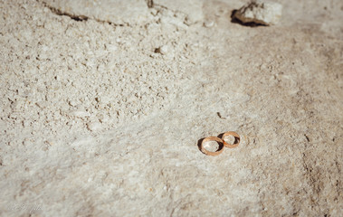 Brides rings on the rock. Summer, heat, wedding.