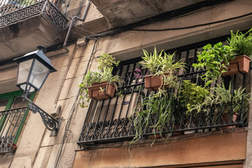 barrio gotico barcelona