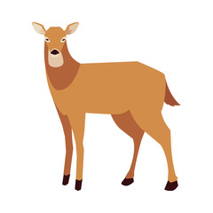 deer happy autumn season flat design