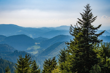 View down of a mountain in Black Forest / Schwarzwald, Germany